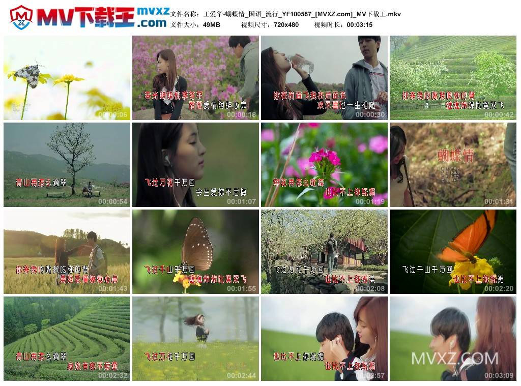 王爱华-蝴蝶情_国语_流行_YF100587